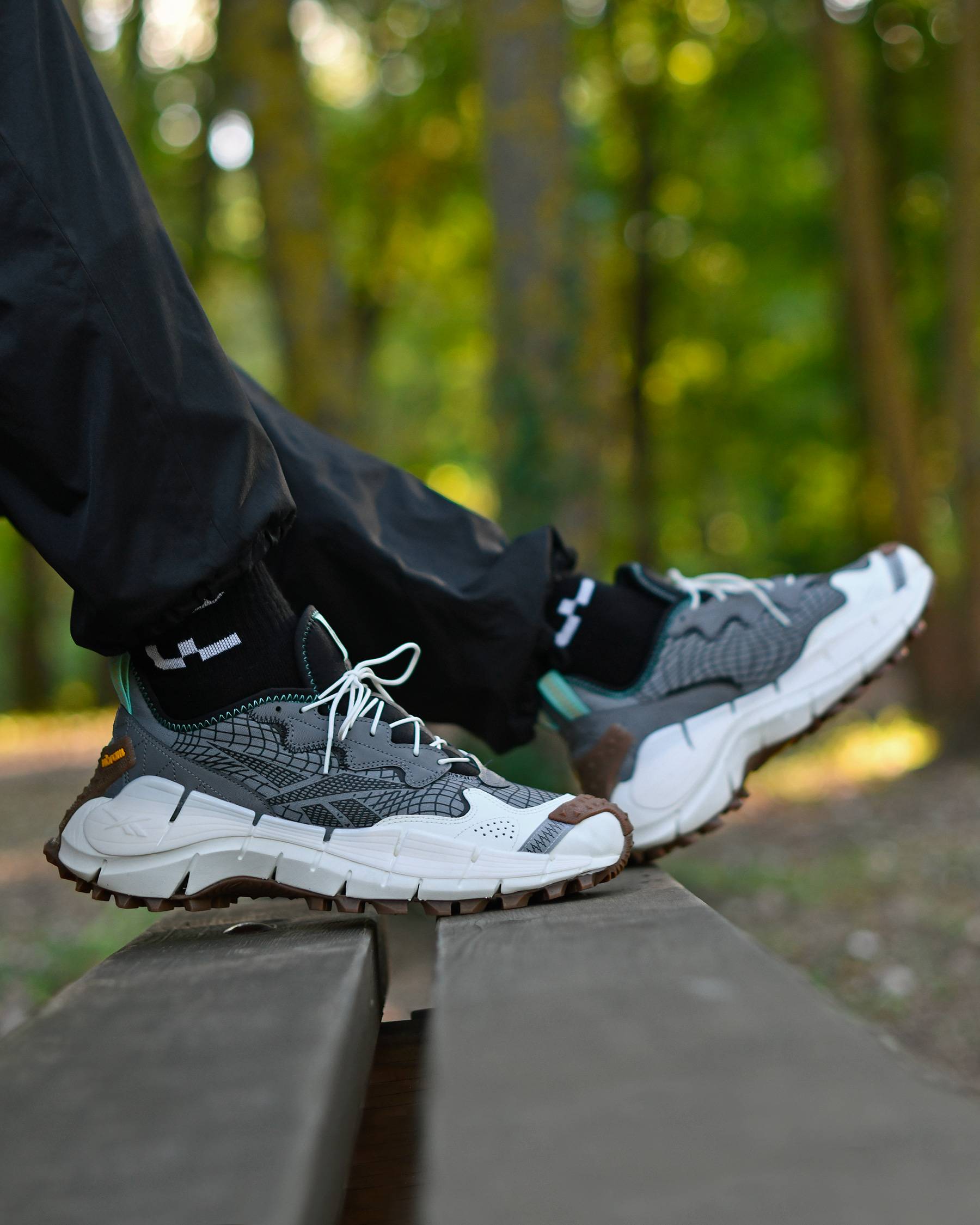 ケッキング Reebok Zig Kinetica II Edge GORE-TEX